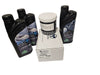 25 30 HP 4 Stroke Genuine Tohatsu Outboard Annual Service Maintenance kit MFS25C MFS30C Incl Oils