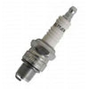 QL77JC4 CHAMPION Spark Plug for Johnson Evinrude Outboard